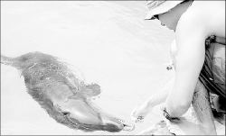 cabos-terapia-delfines