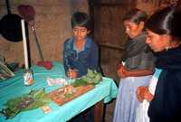 Ceremonia de curación con hongos, Huautla de Morelos, 1991