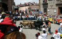 No más toros sueltos en las calles de San Miguel Allende
