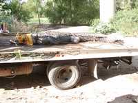 El cocodrilo Daniel, capturado en el río de Tomatlán, municipio del mismo nombre, en Jalisco, es conducido en una grúa a su nuevo hábitat. El pasado primero de mayo atrapó en sus fauces a un niño de cinco años