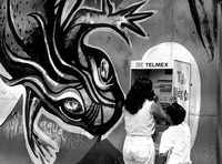En Cuajimalpa se presenta un fenómeno relacionado con el elevado porcentaje de población joven: el graffiti. En todos los sectores policiacos de la delegación, numerosos inmuebles se ven afectados por pintura en aerosol, principalmente en zonas escolares