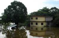 Mientras, el municipio de Pánuco, Veracruz, continúa inundado y se prevé que el nivel de las aguas siga subiendo en los próximos días a causa de las lluvias