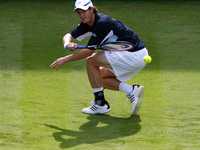 El británico Andy Murray, durante su participación en la Copa Davis de Wimbledon, en septiembre pasado