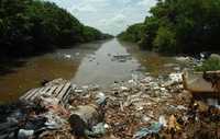 Deterioro de manglares en Progreso, Yucatán