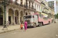 Un camello en las calles de La Habana  tomada de Internet