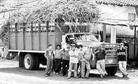 En diciembre, más de 20 mil trabajadores azucareros de Veracruz se sumarán al paro que mantienen 12 mil de sus compañeros en 10 de los 22 ingenios de la entidad, informó el secretario de la Comisión Especial para la Agroindustria Azucarera en el Senado y dirigente de la Unidad Cañera Democrática, Arturo Hervis Reyes
