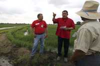 El presidente Hugo Chávez visitó ayer una plantación de arroz en la ciudad de Barinas, desde donde transmitió su programa Aló, Presidente! durante el cual acusó a Colombia de querer inundar de paramilitares el territorio venezolano