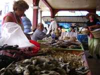 Pescadores del lago de Pátzcuaro reconocieron que enfrentarán grandes dificultades para abastecer el mercado durante la presente temporada de cuaresma
