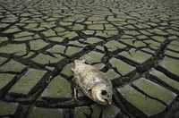 Los efectos del cambio climático ya se observan en diferentes partes del mundo. En la imagen, un río de la provincia de Jiangxi, China