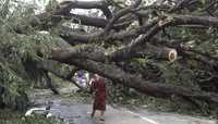 El ciclón que azotó varias provincias de Myanmar devastó árboles, carreteras y viviendas; la imagen en Rangún