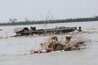 Conforme pasan los días en el río Pyarmalot, unos 168 kilómetros al suroeste de Rangún, se observan cuerpos flotando (como en la imagen), lo que dificulta las condiciones para los equipos de ayuda humanitaria desplegados en Myanmar, explicó ayer un funcionario de la  ONU