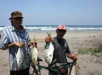 Playa de la comunidad de Pantla, municipio de Zihuatanejo, Guerrero, donde el viernes pasado murió el joven Osvaldo Mata Valdovinos cuando surfeaba y fue atacado por un tiburón