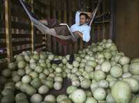 Un vendedor de melones descansa mientras espera por clientes en un mercado de Managua, Nicaragua
