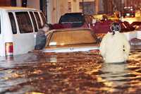 En Guadalajara, la primera tormenta de la temporada causó inundaciones y dejó decenas de automóviles varados