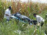 En un sembradío de maíz en Bacurimi, Culiacán, fue localizada una persona ejecutada y dentro de una cobija