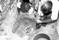 Exhumación de los restos de Lucio Cabañas, a finales de 2001