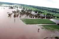 En la comunidad de Tolomé el municipio de Tolome, municipio de Paso de Ovejas, Veracruz, los aguaceros inundaron amplias extensiones de cultivos