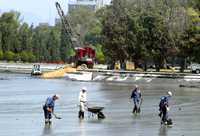 Aspecto de las labores de reparación del lago de Chapultepec en junio de 2006