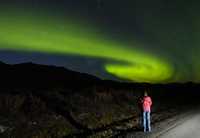Espectacular vista de la aurora boreal en el Parque Nacional de Denali, en Alaska