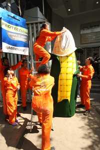 Frente a las instalaciones de la Secretaría de Agricultura, integrantes de Greenpeace realizaron una conferencia de prensa a la que titularon Sexo seguro para el maíz, en la que mostraron cómo proteger al grano de la contaminación con transgénicos