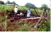 Celia Preciado y Arturo Arias Rivera observan los restos de su vivienda de cartón y palma, incendiada por presuntos pistoleros en la comunidad indígena de Vado de San Pedro, municipio de Ruiz, Nayarit