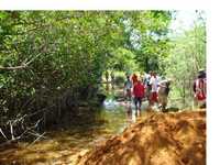 Aspecto de los manglares de Barra de Potosí, municipio de Petatlán, que personal de la empresa japonesa Desarrollo Imperiad, rellenaba con tierra y escombros para construir un cammino