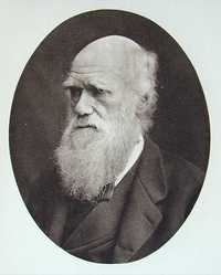 En 2009 se cumplirán 150 años de la publicación de El origen de las especies, de Charles Darwin