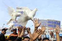 Musulmanes que repudian los atentados y demandan paz sueltan palomas en la ciudad india de Ahmedabad, en el oeste del país