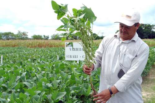 ¡¡Indígenas mexicanos ganando una batalla al gigante Monsanto!!